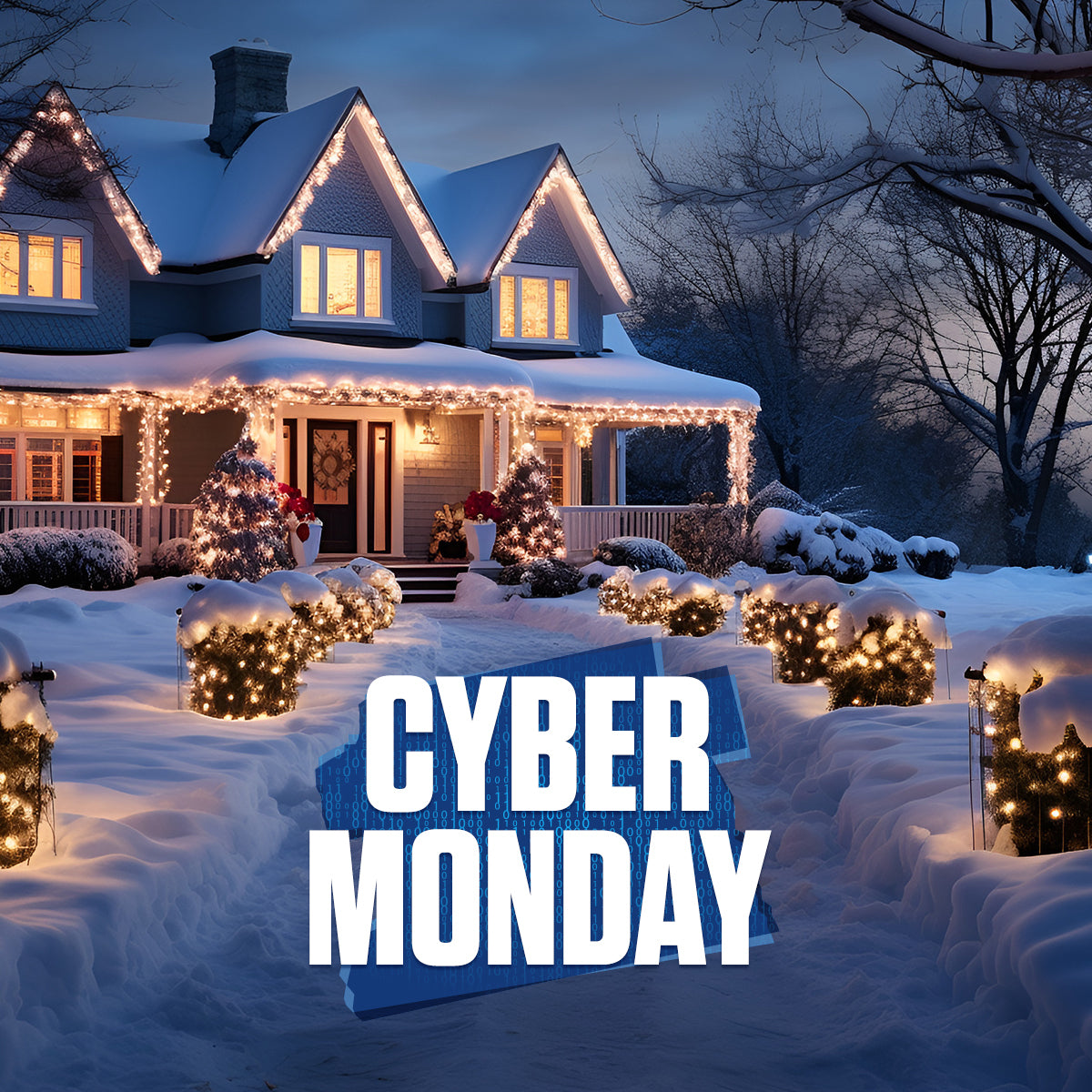 Cyber Monday Vinter