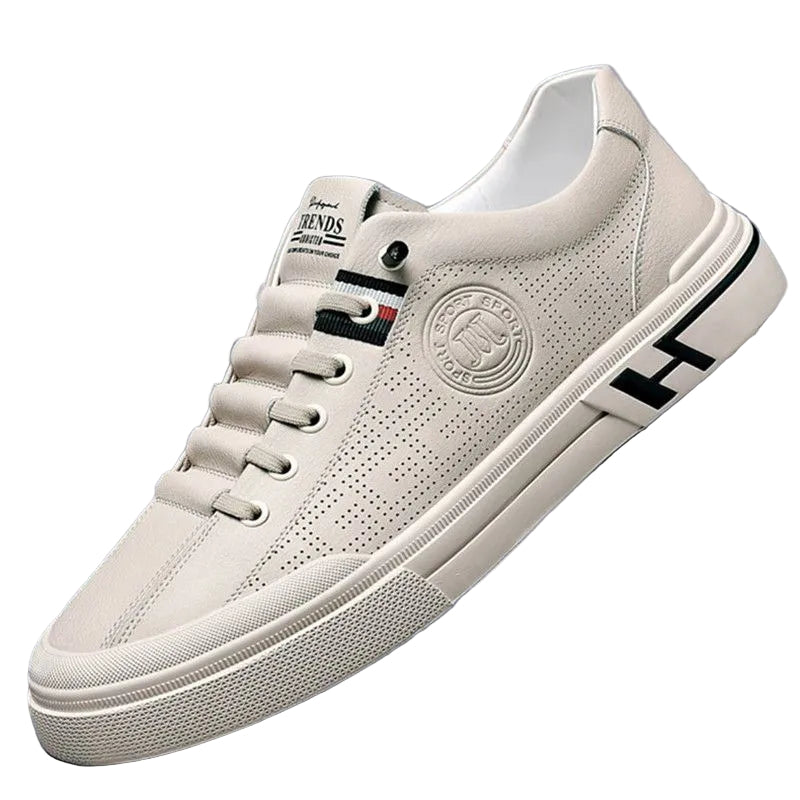 Mænds Casual Sko Limited Edition 0
